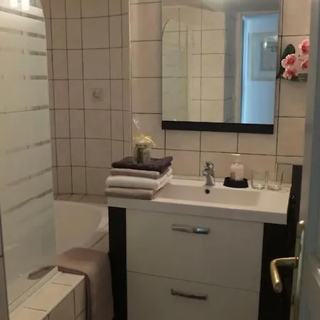 Charming Flat In Historical Centre * 디종