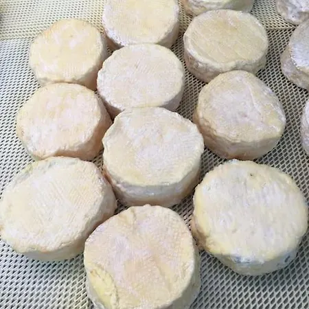 Charming Flat In Historical Centre *