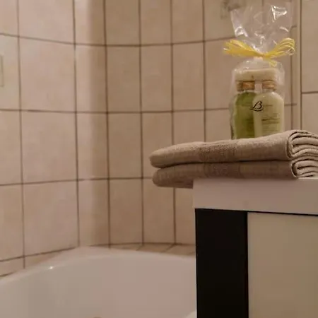 Charming Flat In Historical Centre Appartement Dijon