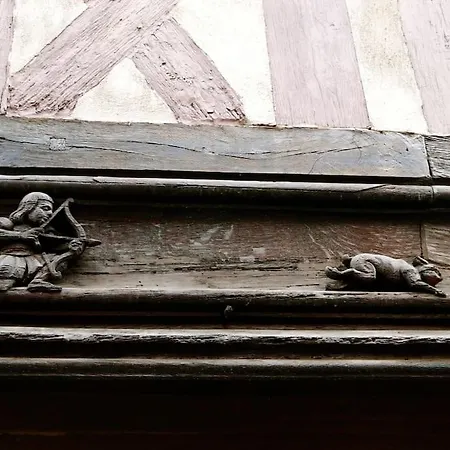 Charming Flat In Historical Centre Dijon