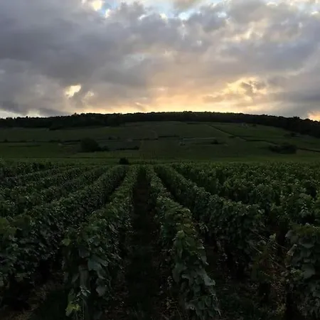 Charming Flat In Historical Centre Appartement *