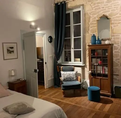 Charming Flat In Historical Centre * ディジョン