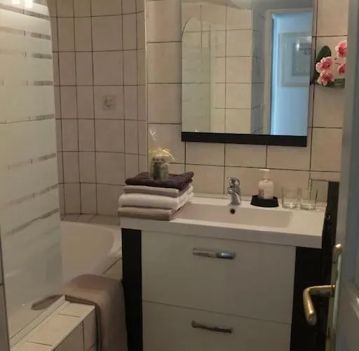 Charming Flat In Historical Centre * Ντιζόν