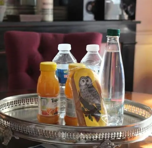 Charming Flat In Historical Centre Διαμέρισμα Ντιζόν