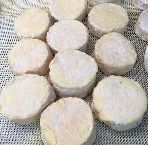 Charming Flat In Historical Centre *