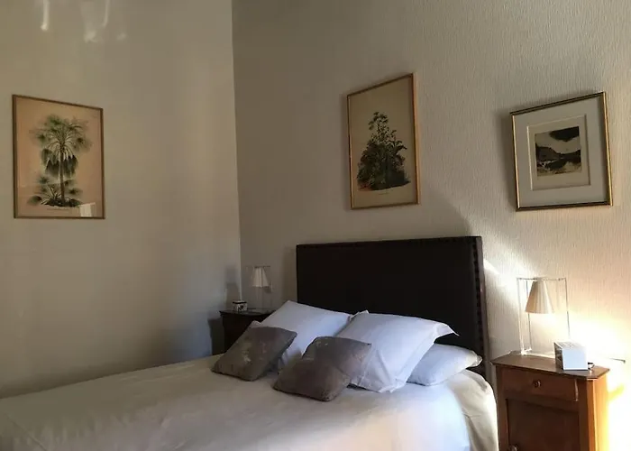 Charming Flat In Historical Centre Dijon