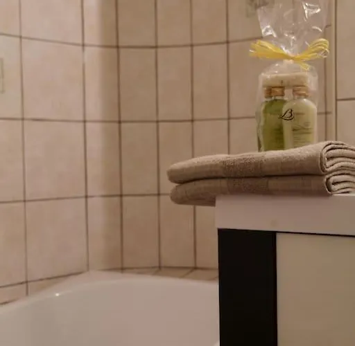 Charming Flat In Historical Centre Apartment Dijon