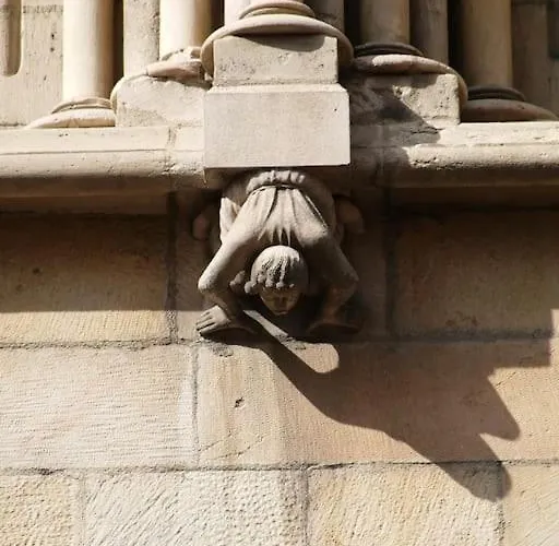 Apartment Charming Flat In Historical Centre Dijon