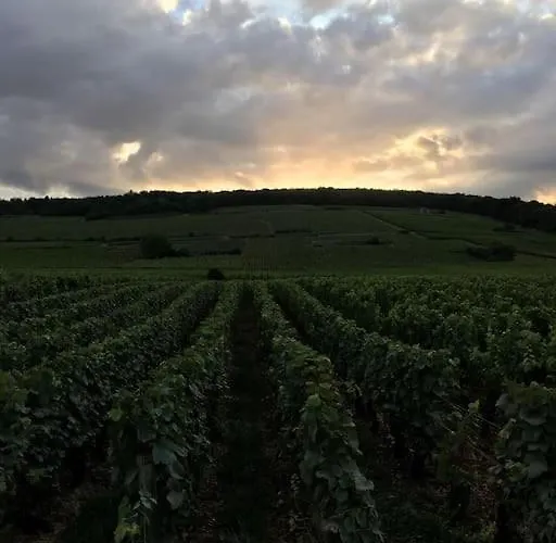 Charming Flat In Historical Centre Διαμέρισμα *